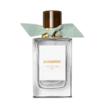 Burberry Signatures Windsor Tonic Eau de Parfum