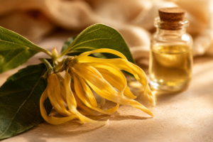 ylang-ylang in parfum